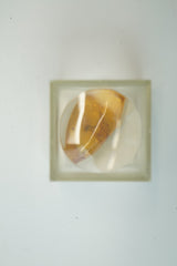 11 Lupenkästchen mit Bernstein mit Insekten innendrin Posten