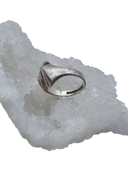 Massiver 925er Lapponia Silber Ring Gr. 53